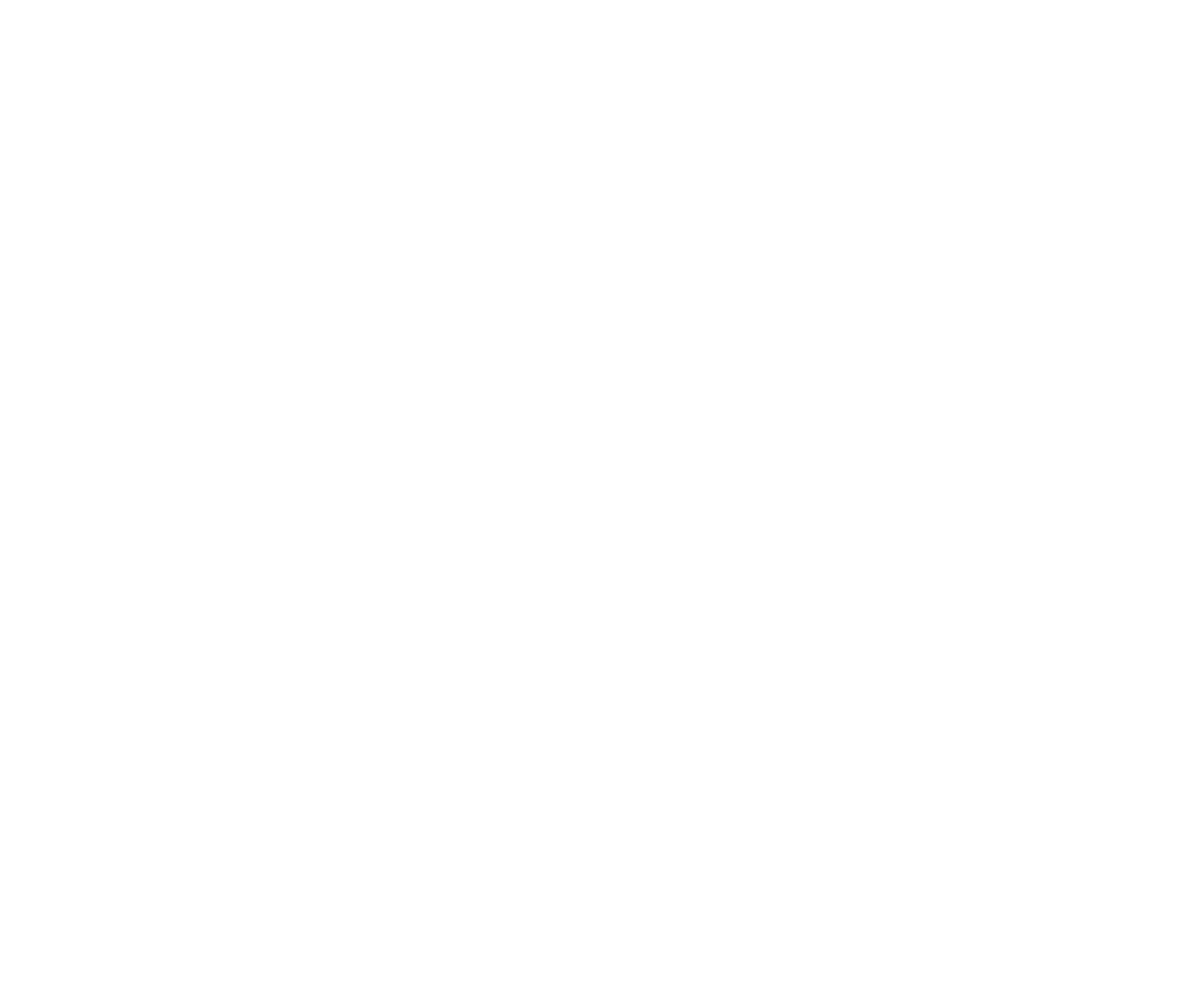 Sulnet 20 Anos